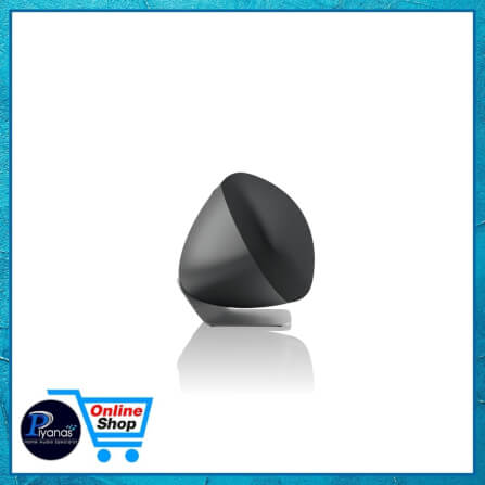 ลำโพงไร้สาย BOWERS&WILKINS : ZEPPELIN PRO EDITION (SPACE GREY)_4